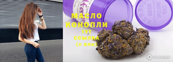 индика Арсеньев