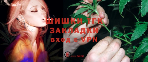индика Арсеньев