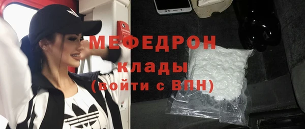 индика Арсеньев