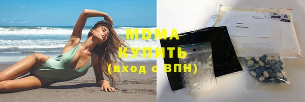 индика Арсеньев
