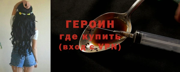индика Арсеньев