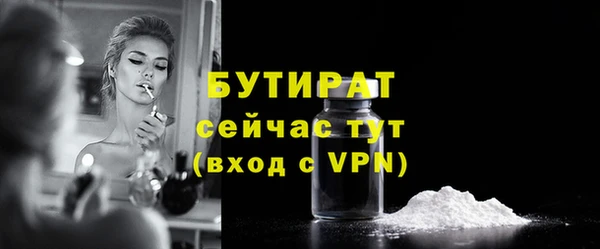 индика Арсеньев