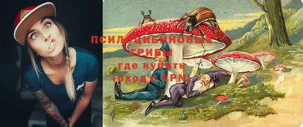 трава Няндома