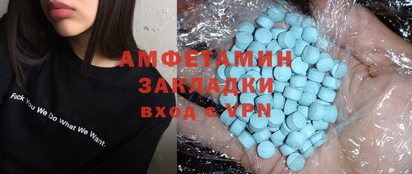 индика Арсеньев