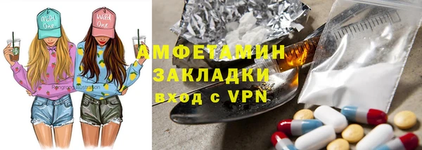 индика Арсеньев